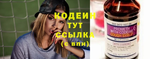прущая мука Галич