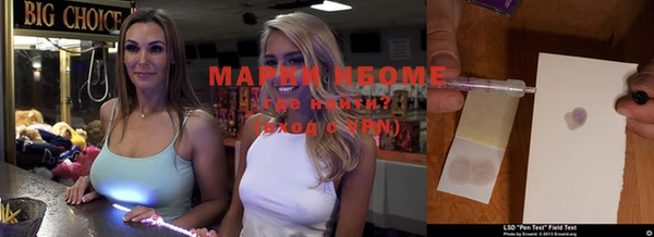 стафф Новокубанск