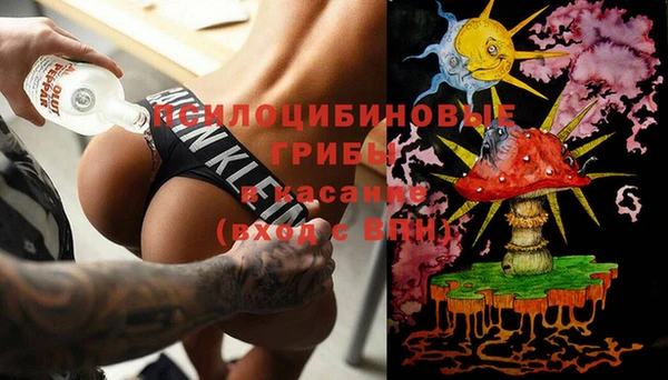 гидропоника Няндома
