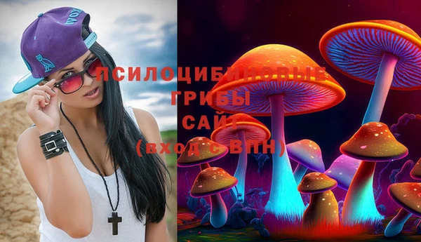 гидропоника Няндома