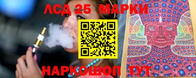 шишки Аргун