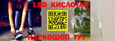 шишки Аргун