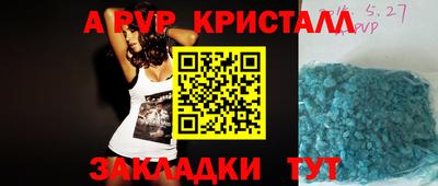 шишки Аргун