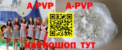 шишки Аргун