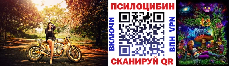 как найти закладки  MEGA онион  Галлюциногенные грибы Cubensis  Приморско-Ахтарск 